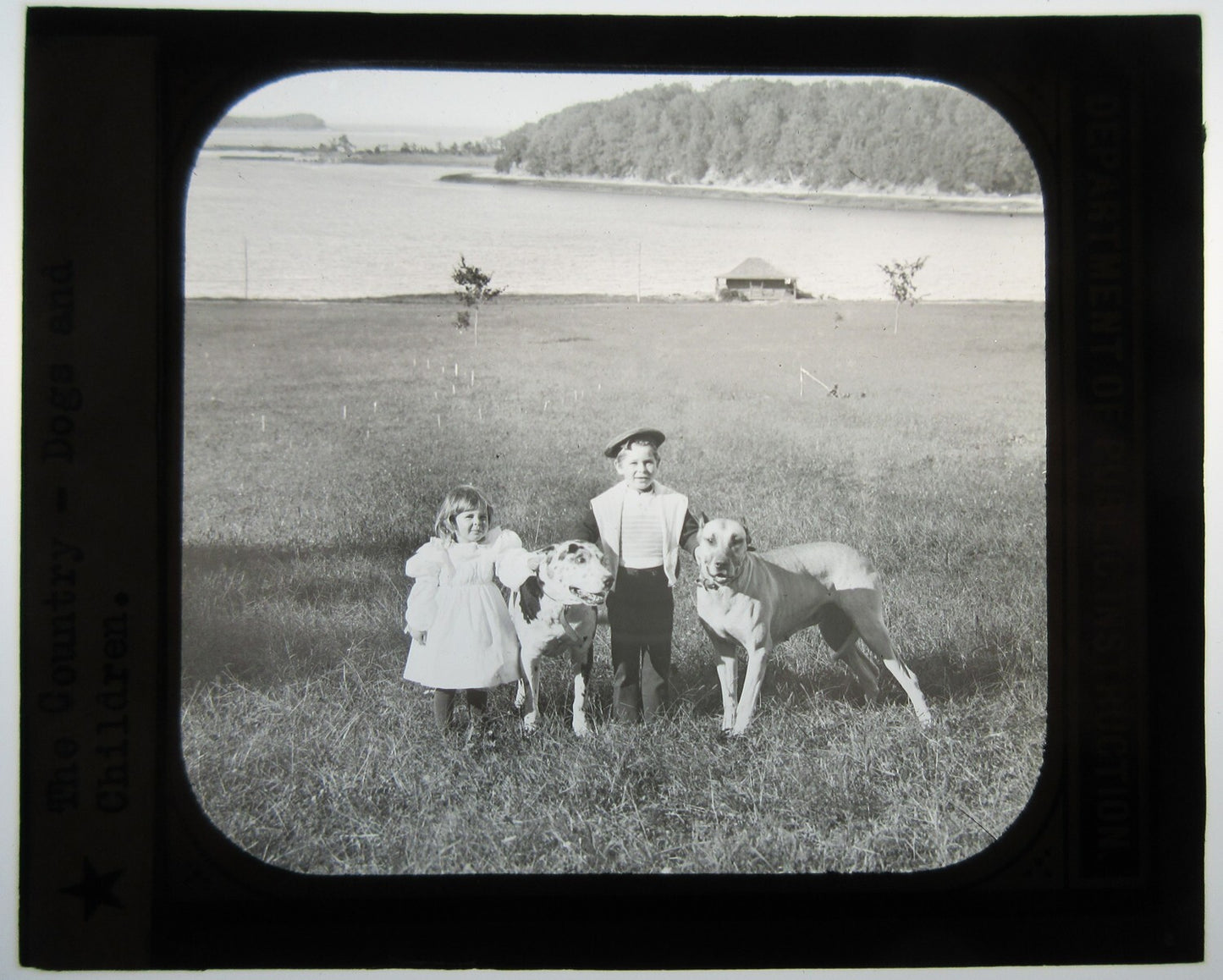 YOUNG SIBLINGS POSED W/TWO VERY LARGE DOGS. LANTERN SLIDE.