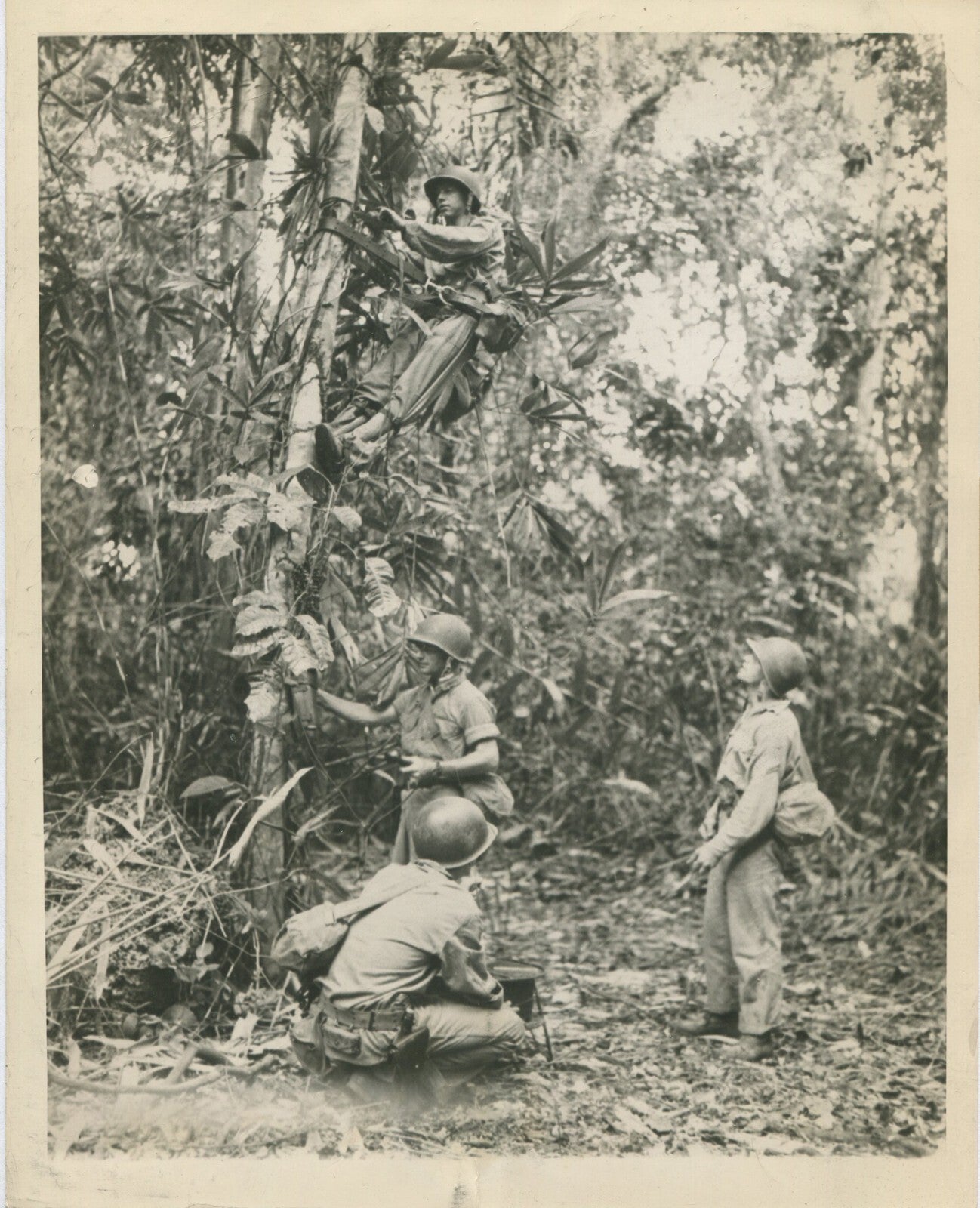 Vintage WWII Guadalcanal 8x10 Photo Print - Larkin Brothers repairing