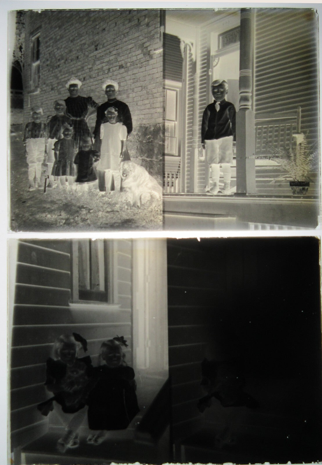 FAMILY ON PORCH W/FAMILY DOG. MULTIPLE IMAGES ON TWO 5X7 GLASS PLATE NEGATIVES.
