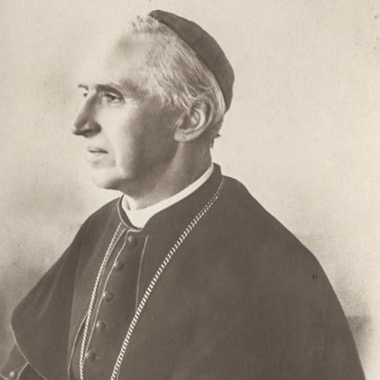 Antique Post Card Photo of S.E. Cardinal Mercier, Archbishop of Mechelen, Belgium