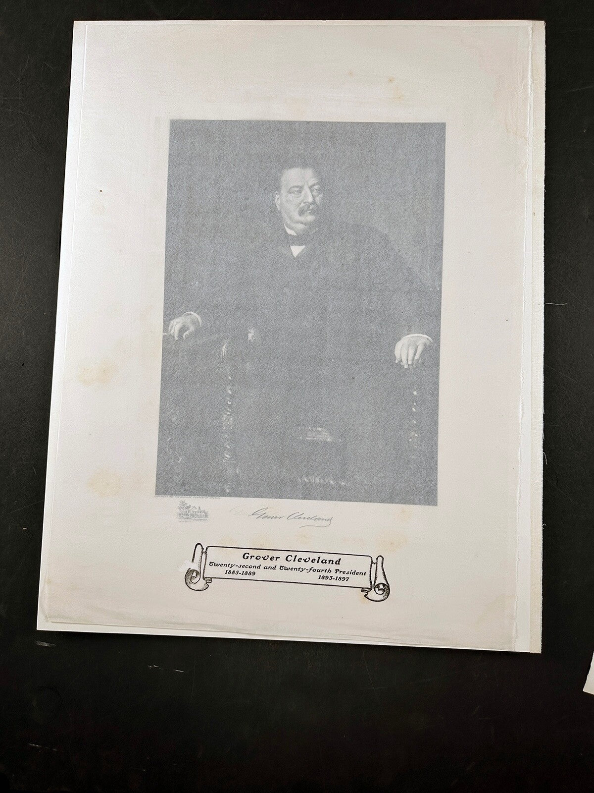Vintage Grover Cleveland Photogravure Portrait, White House Gallery 8x12 on