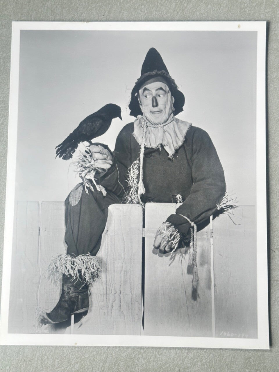Vintage Wizard of Oz Original Press Release Photos Set of 5 - 8x10, authentic