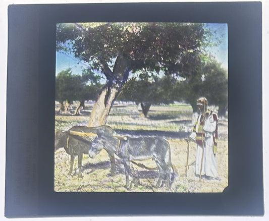 Vintage lantern slide - hand-tinted photo on glass, PLOWMAN LEBANON, 3.25x4 in,