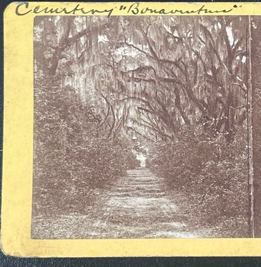 Vintage Stereoview Card: “Bonaventure Cemetery, Savannah Georgia “ 3.5x7in