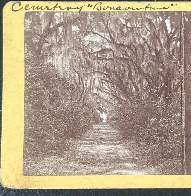 Vintage Stereoview Card: “Bonaventure Cemetery, Savannah Georgia “ 3.5x7in