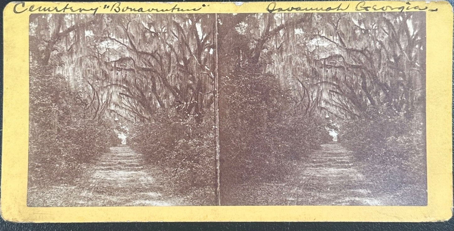 Vintage Stereoview Card: “Bonaventure Cemetery, Savannah Georgia “ 3.5x7in