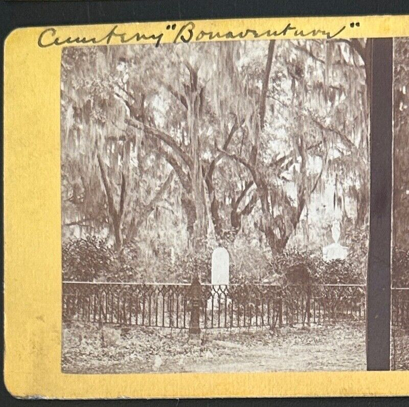 Rare Vintage Stereo View Card - Bonaventure Cemetery, Savannah, 3.5x7 Photograph