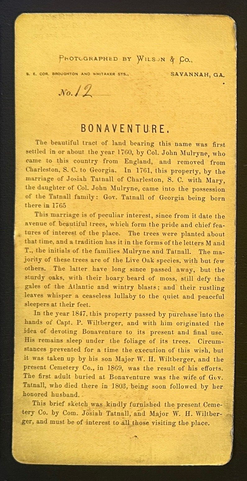 Rare Vintage Stereo View Card - Bonaventure Cemetery, Savannah, 3.5x7 Photograph