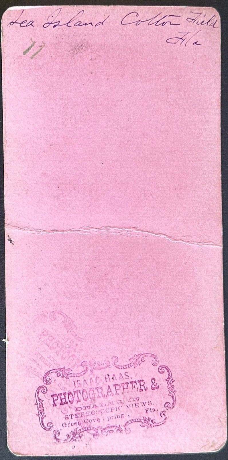 Vintage Stereo View Card Cotton Field Sea Island Florida 3.5x7in - Historic