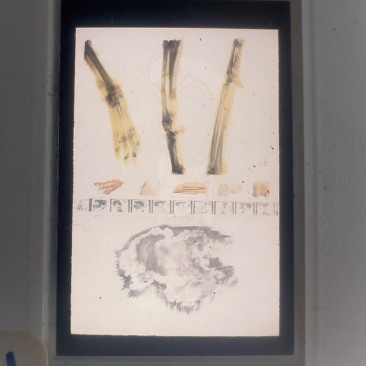 Professional Photography "Curran" 1979 35mm Slides (lot 26)