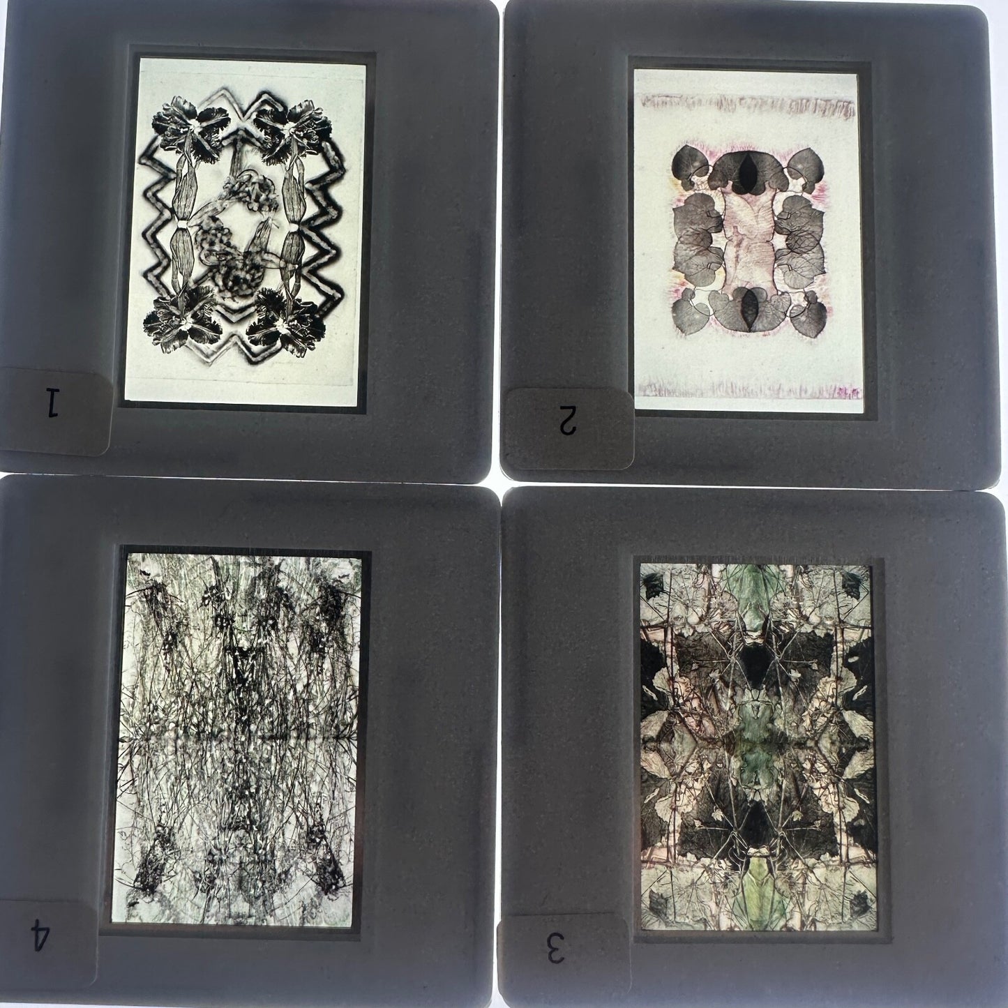 Professional Photography Lot of "Joan Lyons" 1980 35mm  Slides (x25)