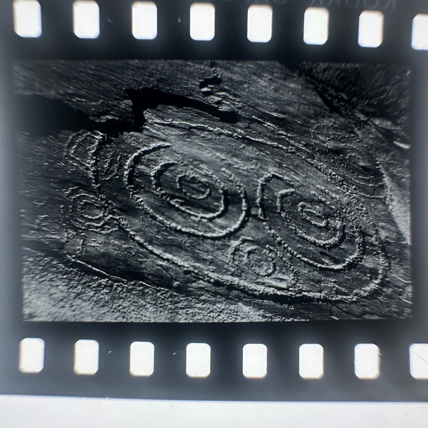 Professional Photographers "Paul Caponigro" 35mm Unmounted Slides (16)