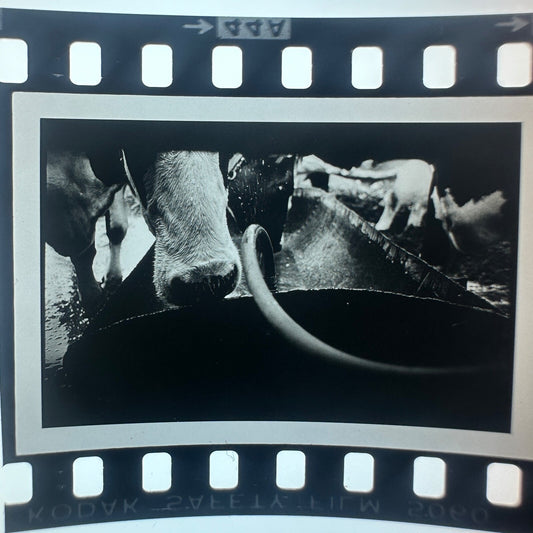 Professional Photography Unknown Large Lot  35mm Unmounted Slides
