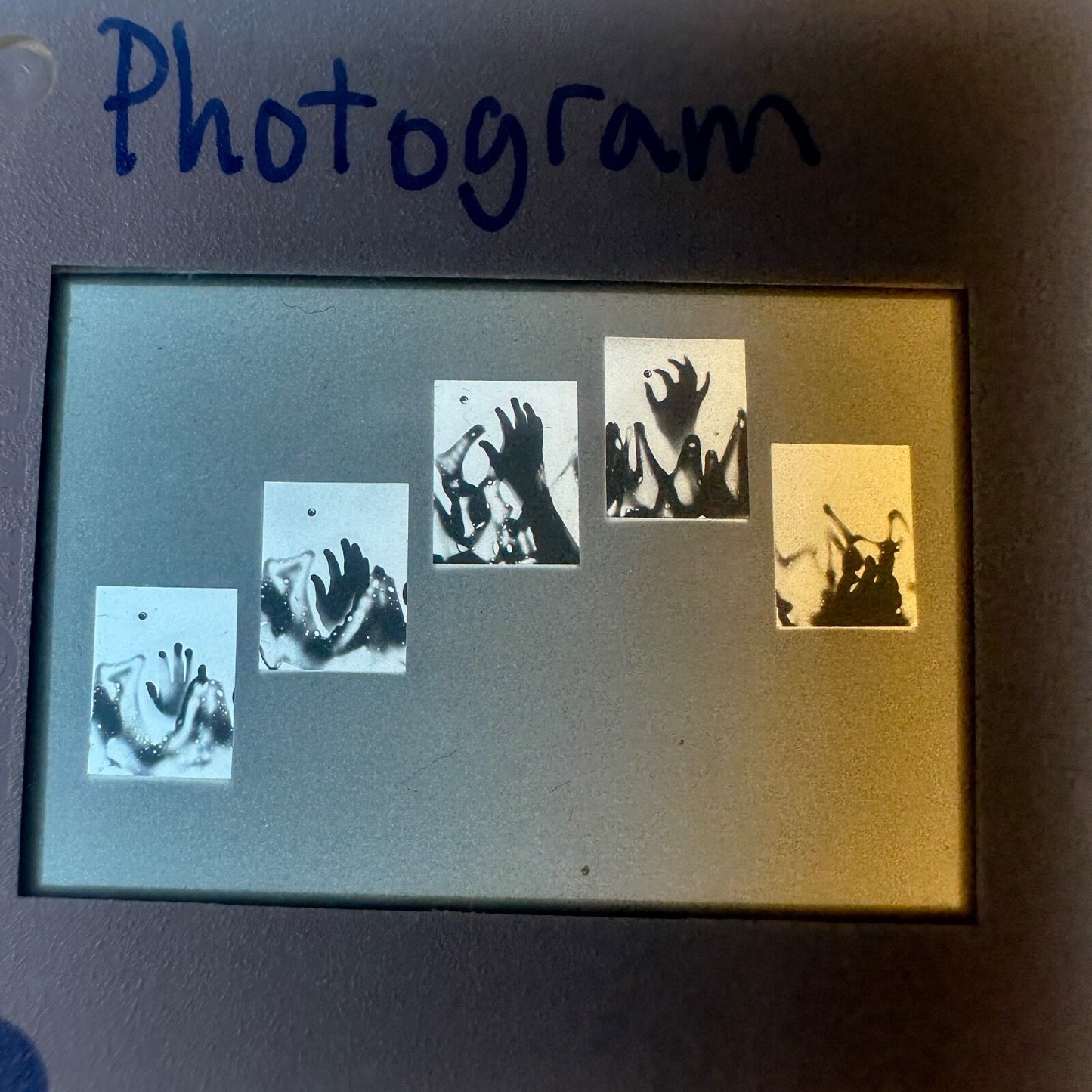 Vintage 65-Slide Lot: 35mm Film Slides from a Professional Photographer Archive