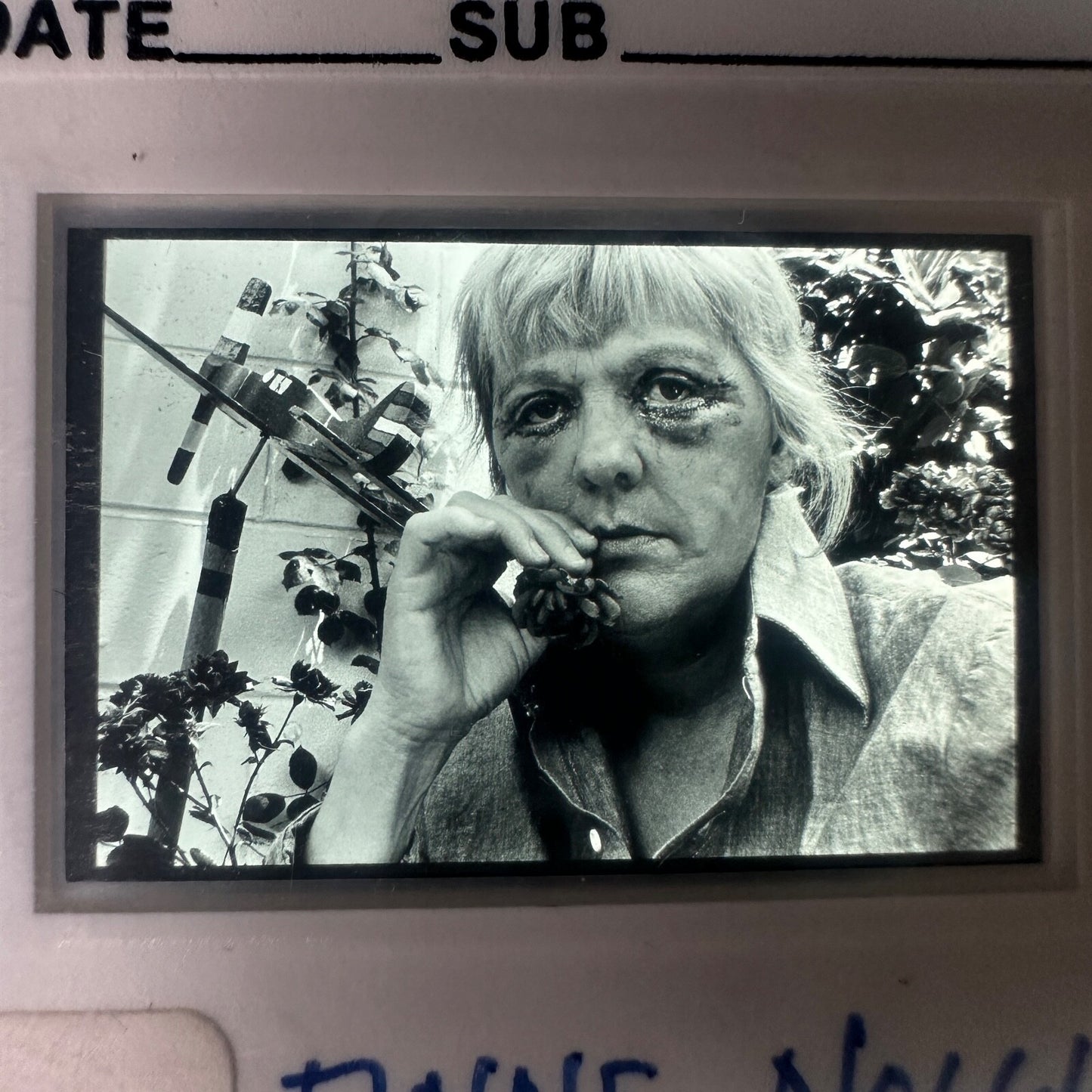 Professional Photographers "Anne Noggie" 35mm Slides Lot of 26