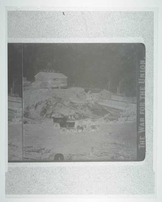 4x5 Copy Negative Stereoview Civil War War for the Union, Covered Wagons Horses