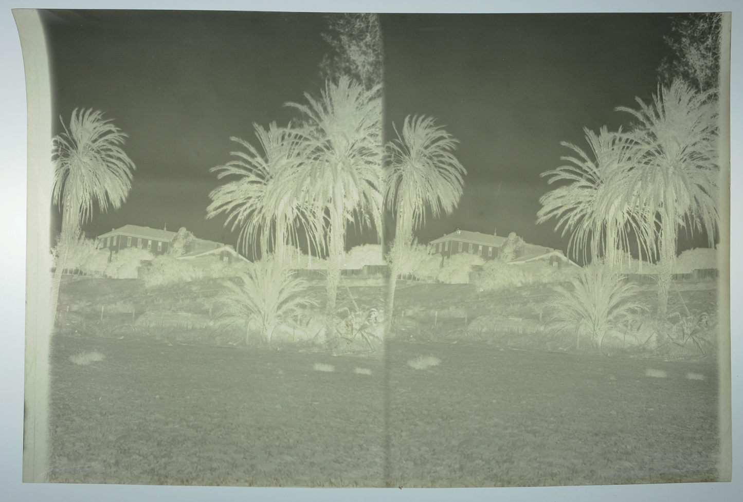 Lot of Five 5x7 Film Negatives Antique, Desert and Cactus, Interior, Stereo