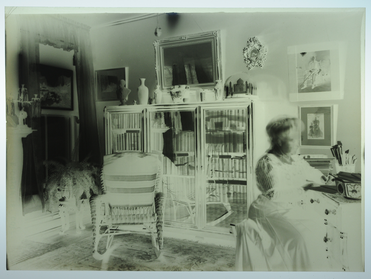 Lot of Five 5x7 Film Negatives Antique, Desert and Cactus, Interior, Stereo