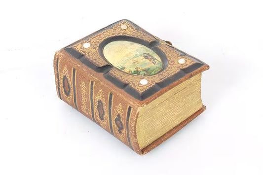 Antique Photo Album 1860s CDV