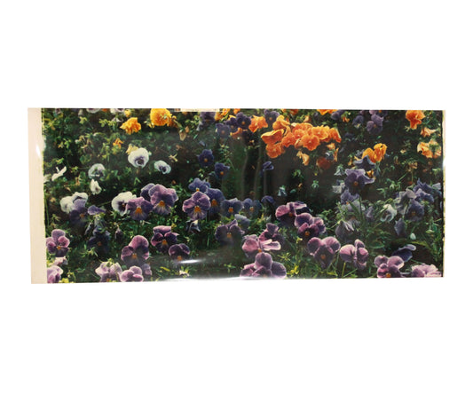 1989 Eastman Kodak Promotional Vinyl Poster Flower Bed 20.5x49.5 Inches