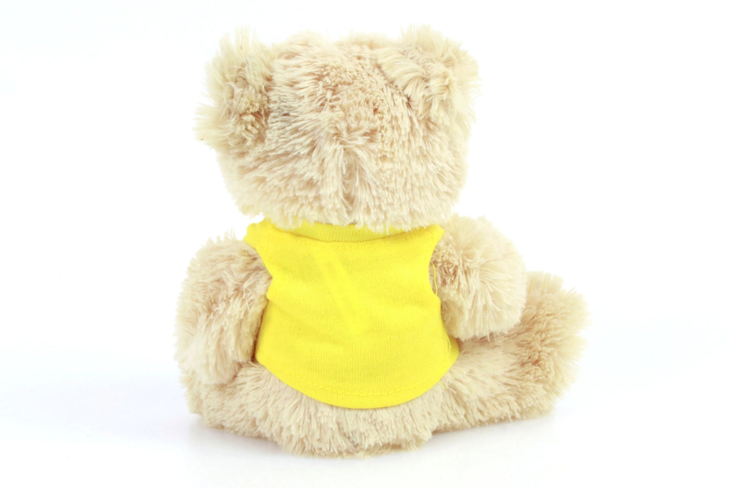 Nikon Teddy Bear