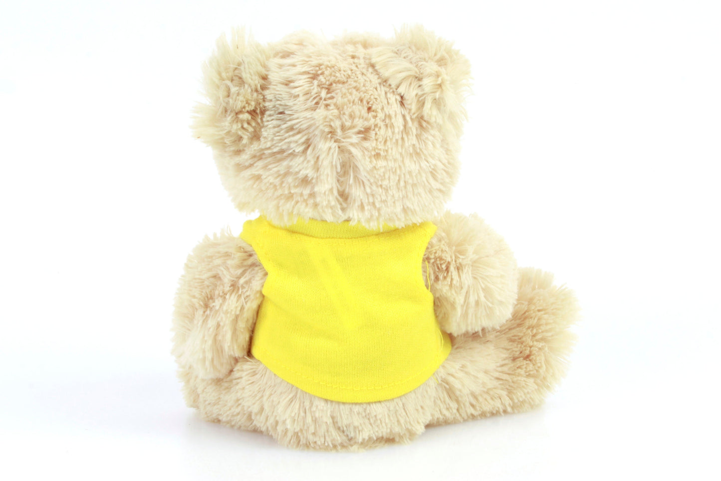 Nikon Teddy Bear