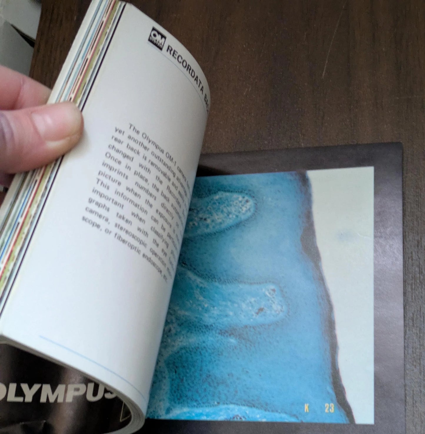 Olympus OM Lenses Manual (72 Pages) FREE SHIPPING