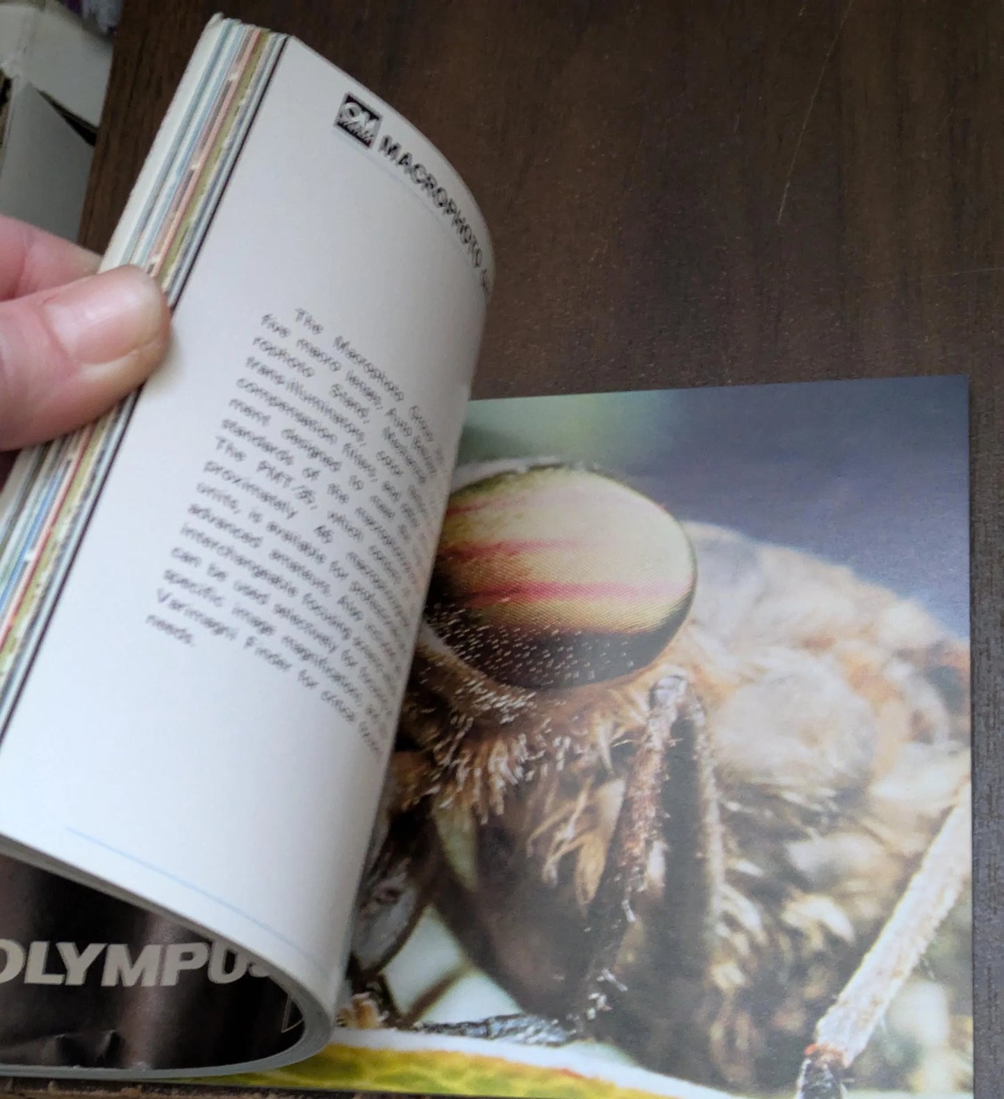 Olympus OM Lenses Manual (72 Pages) FREE SHIPPING