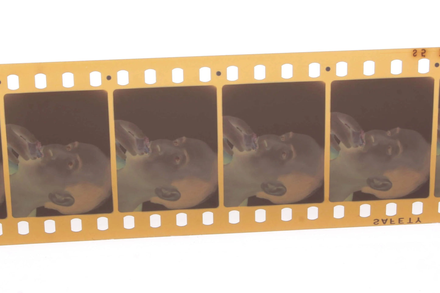 Movie Film 35mm Pizza Eating 800+ Feet