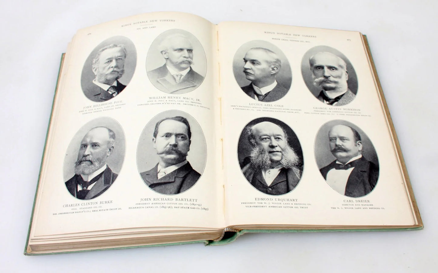 Notable New Yorkers of 1896-1899 Book By Moses King