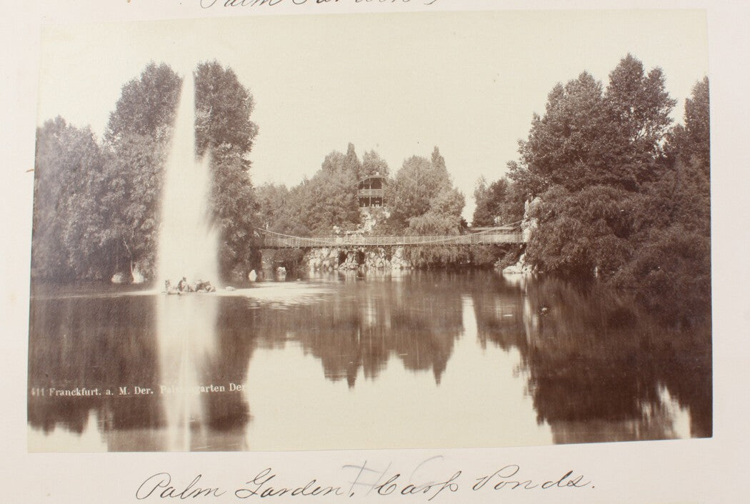 Vintage Palm Garden & Carp Pond Photo 8x10 - Frankfurt am Main, Germany