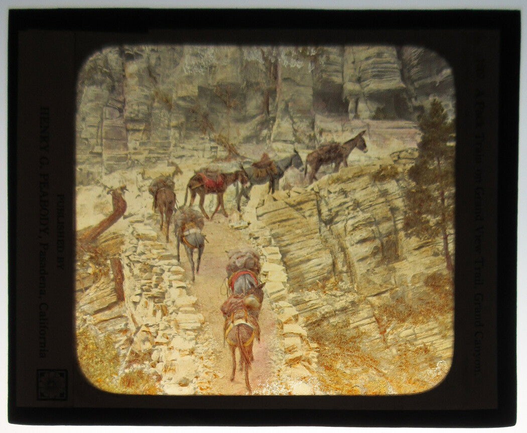 PACK TRAIN, GRAND CANYON.  PHOTO ON GLASS, HAND COLORED.