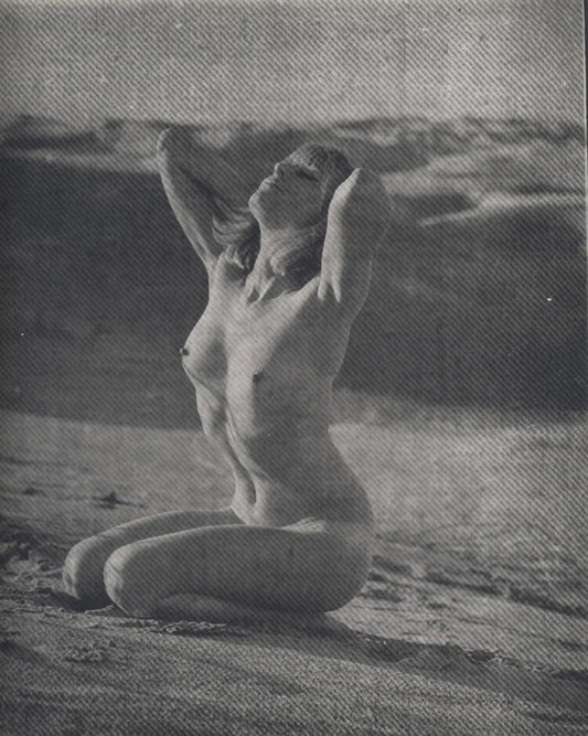 8X10 PORTRAIT OF BEAUTIFUL BLONDE ON BEACH W/ PERKY BREASTS