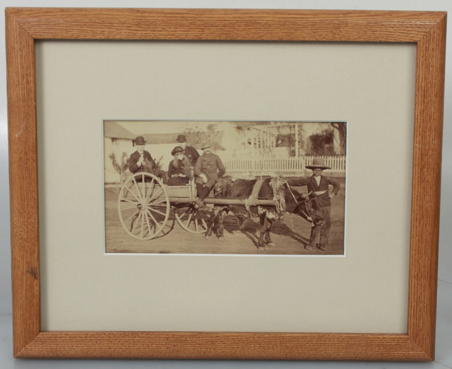 AFRICAN AMERICAN BOY POSED LEADING BULL PULLING CART W/PASSENGERS.