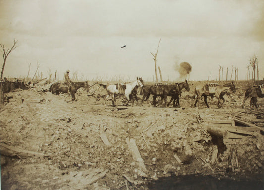WWI BRITISH SOLDIER W/PACK ANIMALS CARRY ARMAMENTS. B&W PHOTO, 8X10 FRAME.