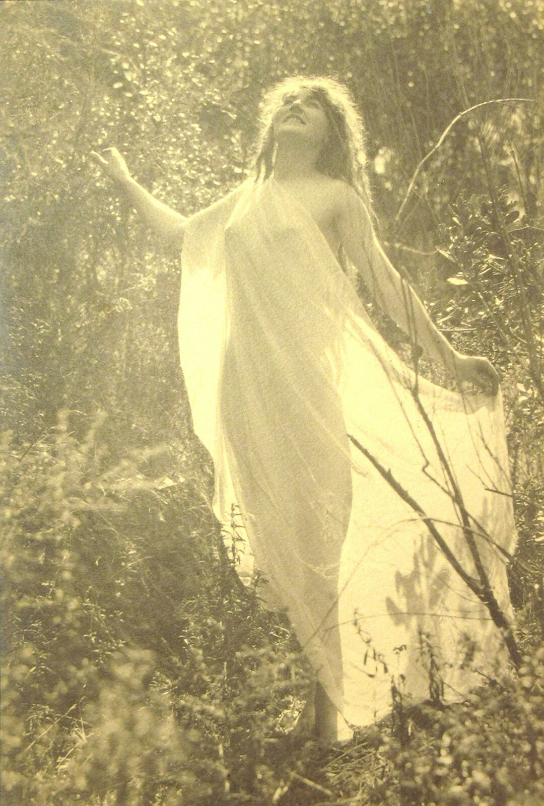 SEMI NUDE WOMAN IN NATURE. 10X7 B&W IN 11X14 INCH ARCHIVAL MAT.