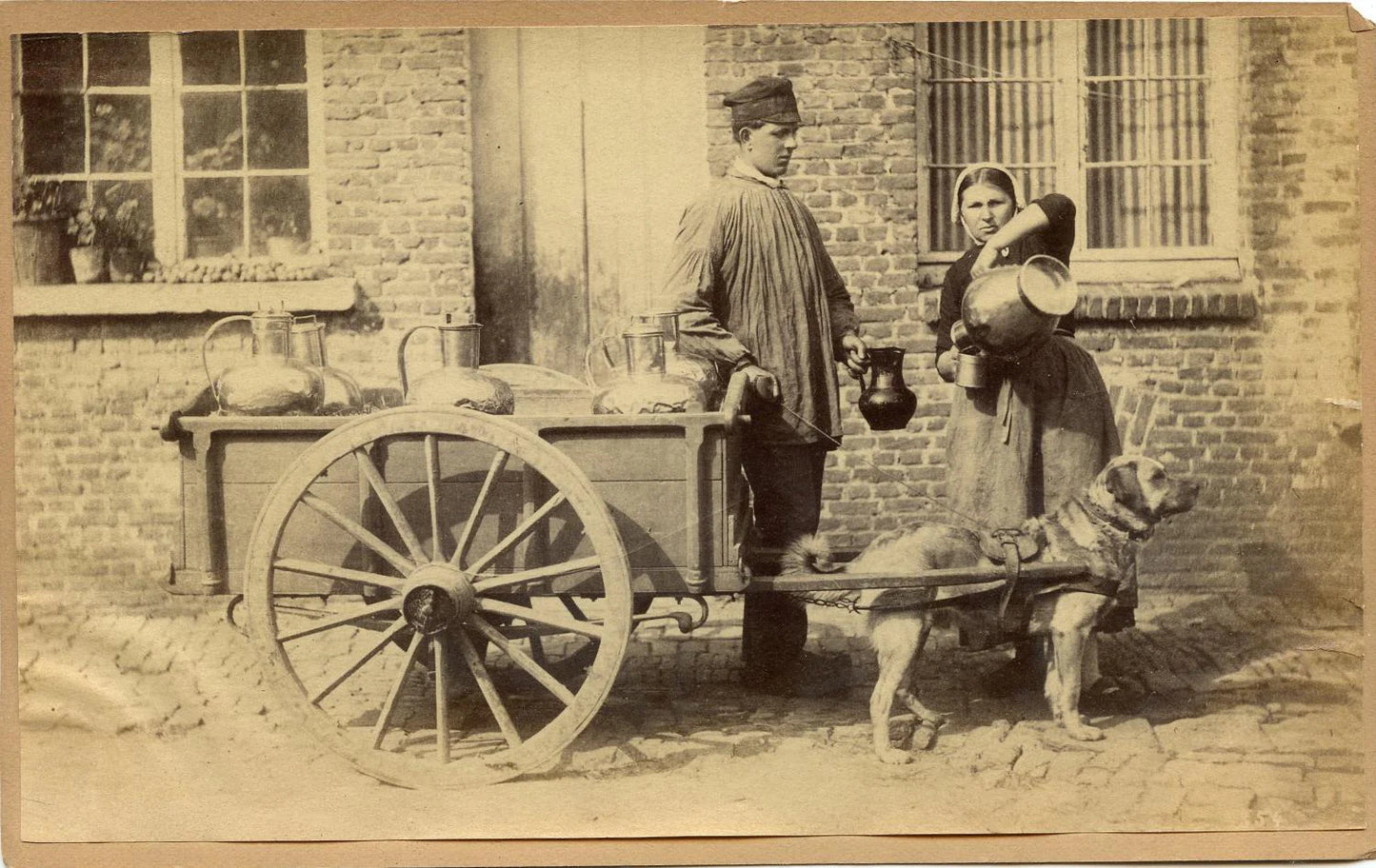 Vintage Albumen Photograph Milk Maid with Dog Wagon