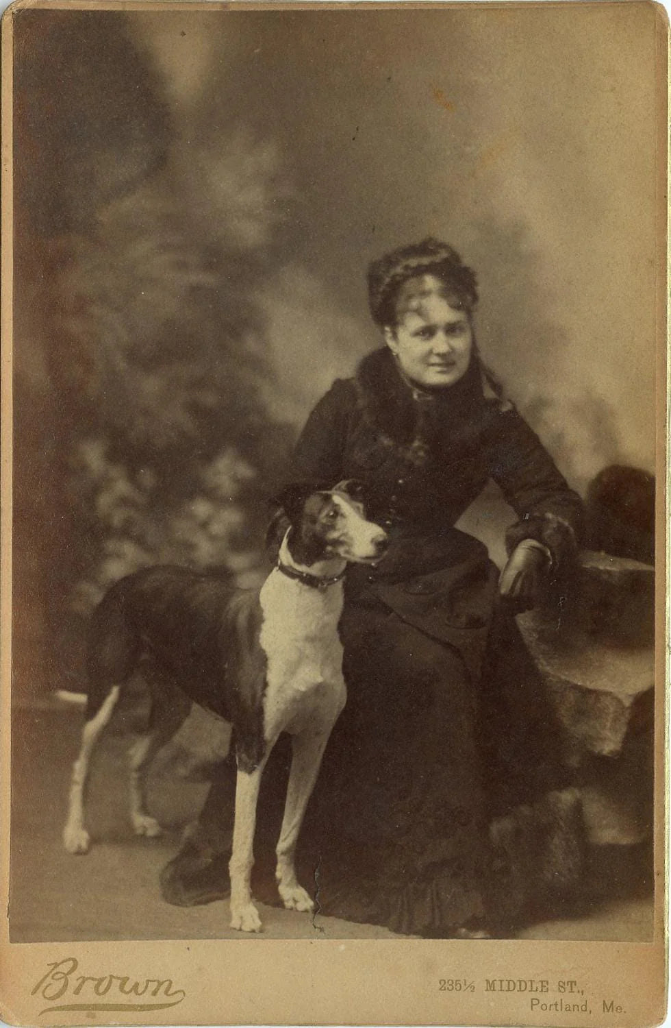 1883 Vintage Cabinet Card Well Dressed Lady with her Dog Portland ME