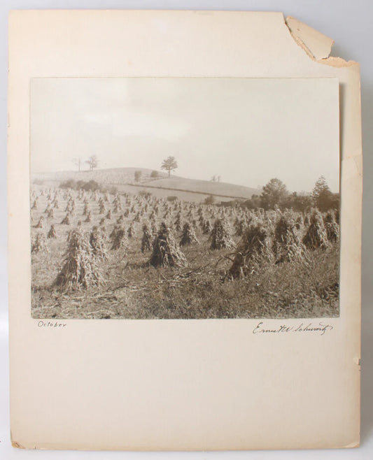 11X14 ALBUMEN PHOTO OF LARGE HAY STACKS IN ROLLING FIELD