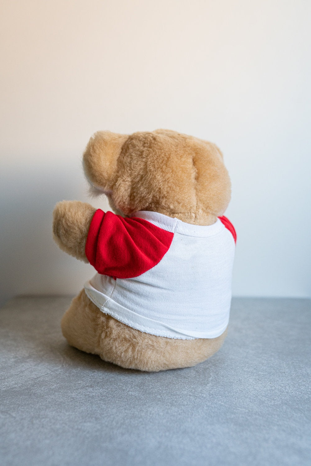 Vintage Fuji Film Stuffed Koala, Official Film T-Shirt