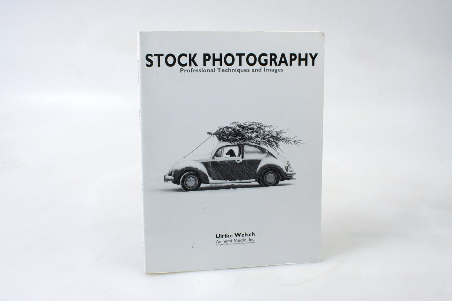 Stock Photography: Professional Images and Techniques by Ulrike Welsch (English)