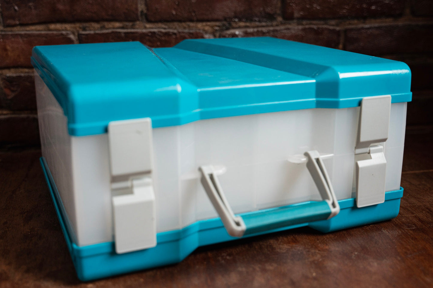 Cyan & Clear Photo Negative Storage Case - Two-Sided Organizer