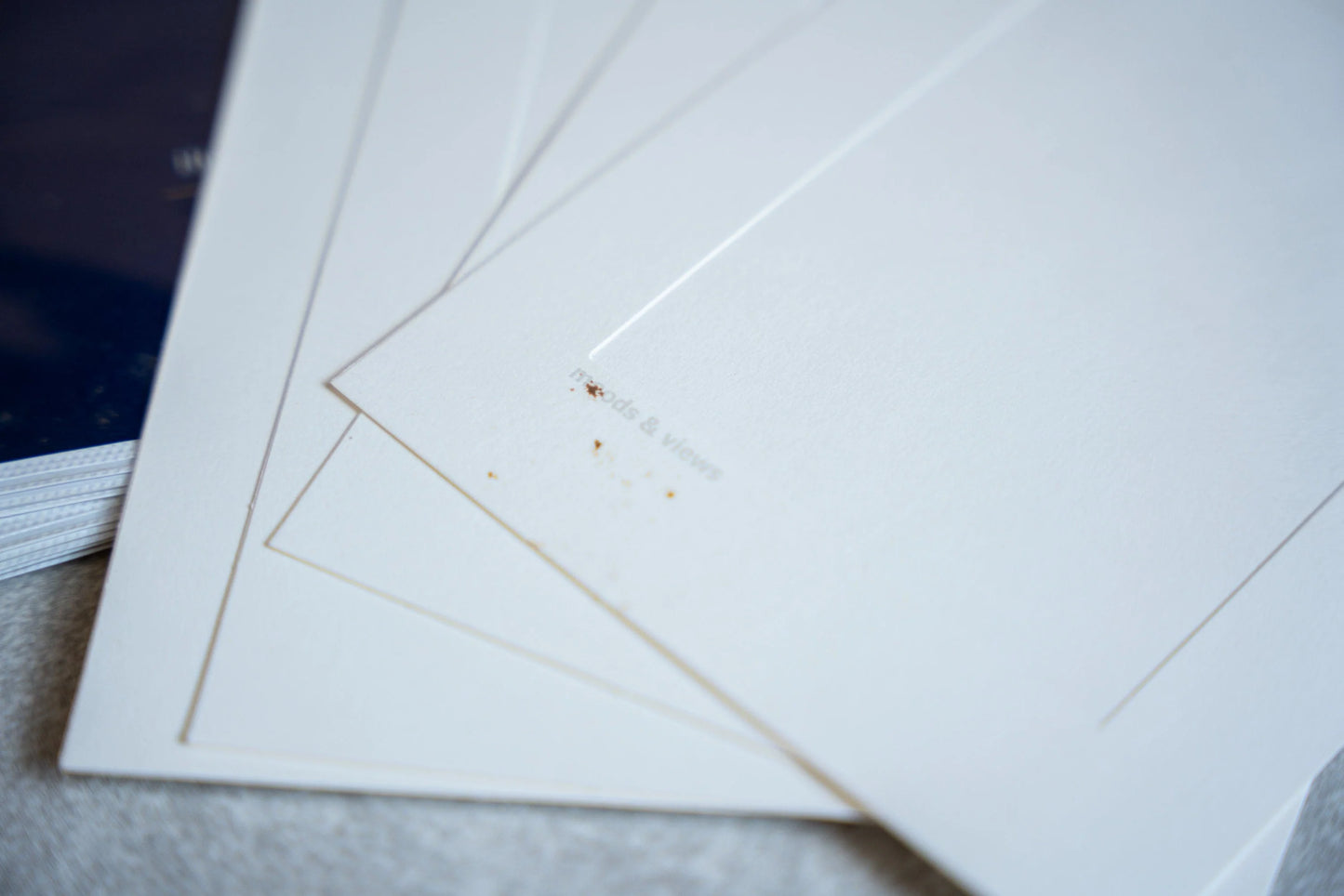 Photo Pages and Paper Frames Lot