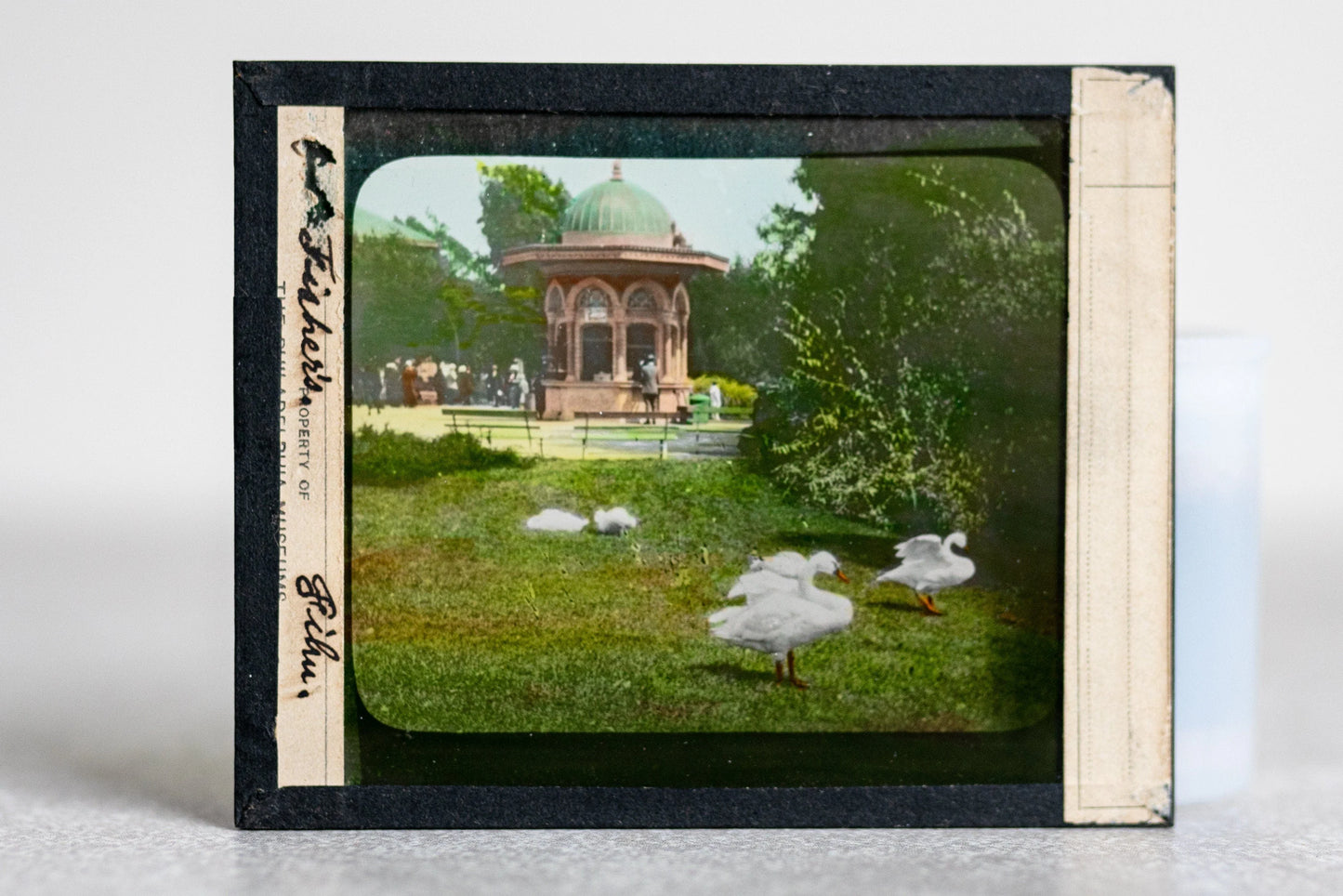Geese Magic Lantern Color Glass Slide