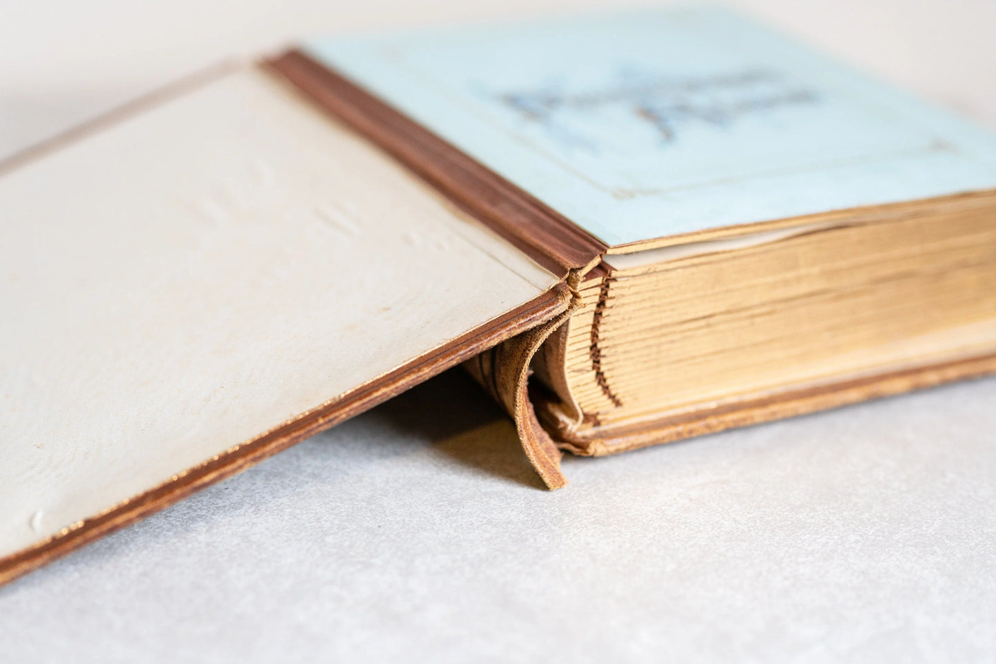 Vintage Photo Album - Circa 1860s - for CDV and Cabinet Cards