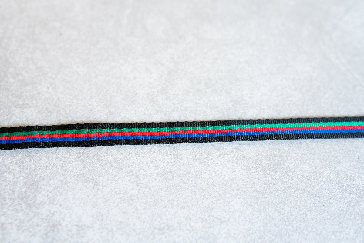 Kodak Rainbow Camera Strap