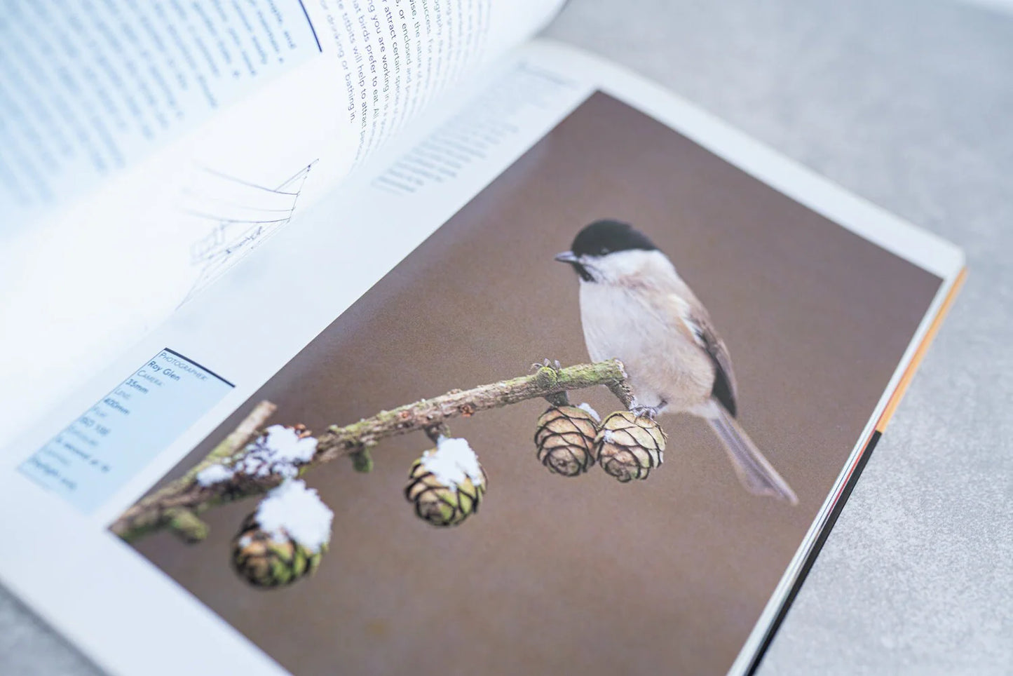 Photographing Animals and Pets by Jonathan Hilton