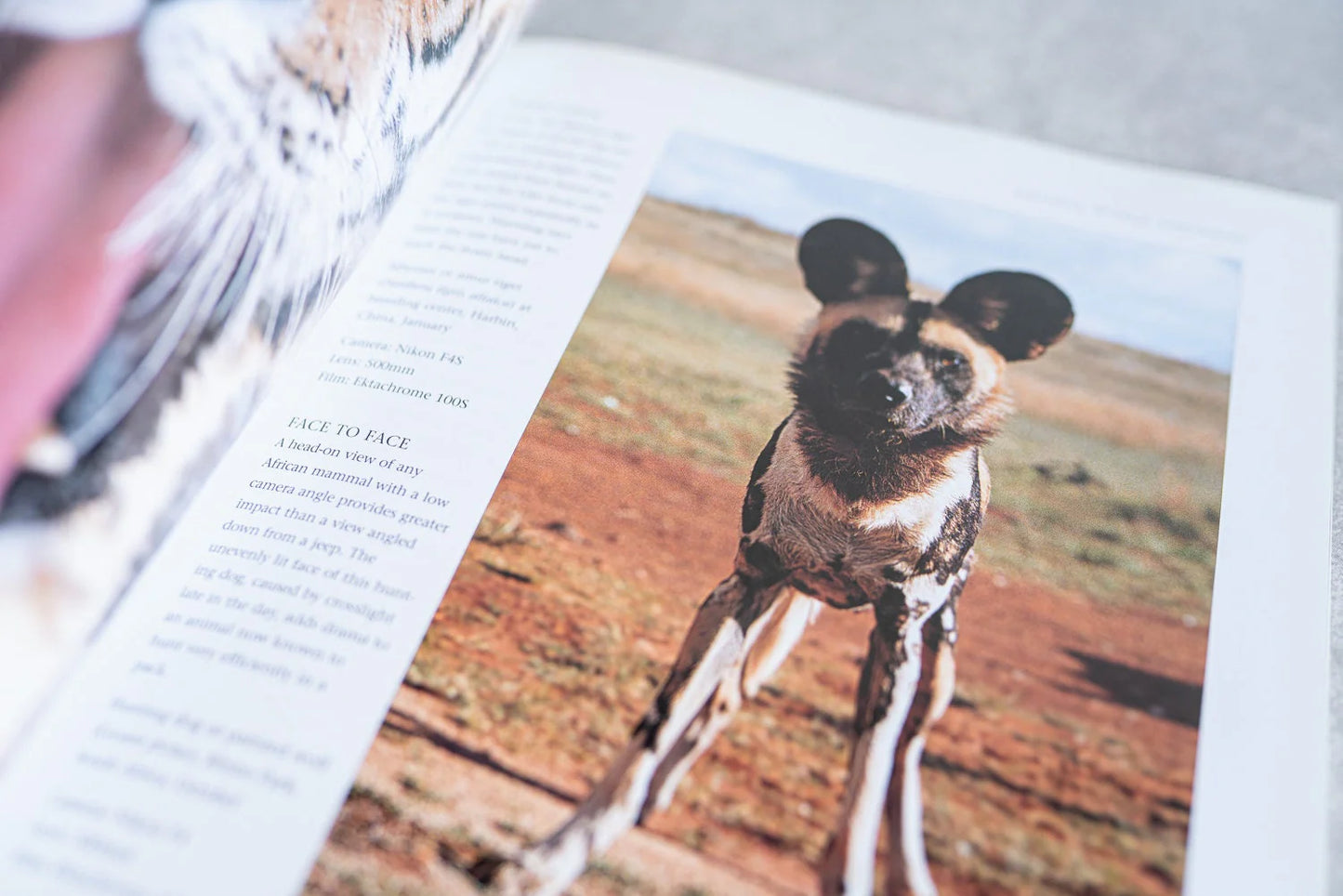 Natural Visions: Creative tips for wildlife Photography by Heather Angel