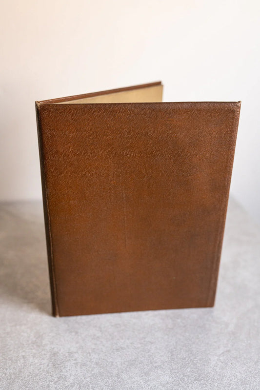 Twin Photo Frame / Album - Brown and Tan