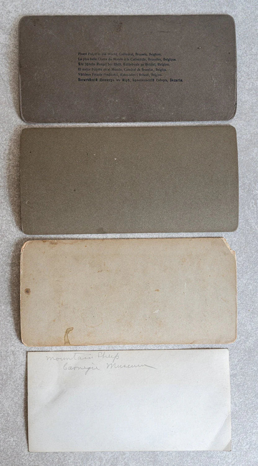Stereoview Cards - Lot of 4 - Various Scenes